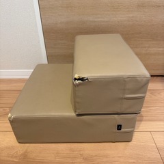 小型犬用2段ステップ階段の画像