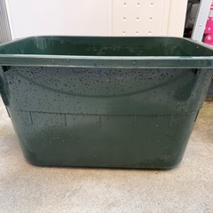 36Lタライの画像