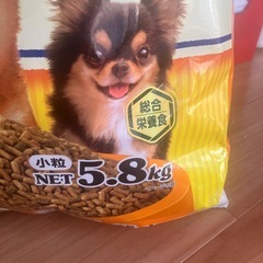 犬の餌の画像