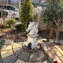 大型植木鉢や植木の画像