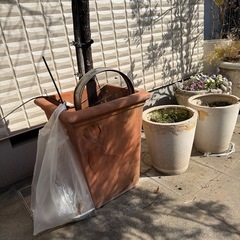 大型植木鉢や植木の画像