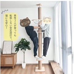 キャットタワー天井突っ張りタイプほぼ未使用　の画像
