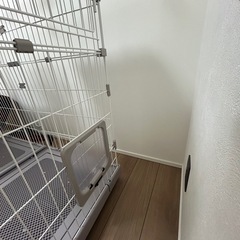 受け渡し者決定
キャットケージの画像