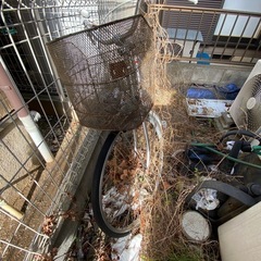 自転車 27インチ　ママチャリの画像