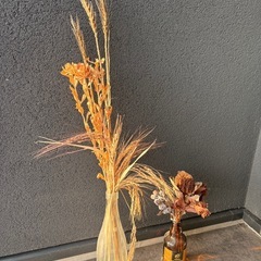 ドライフラワーの画像