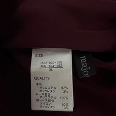 エンジシャツの画像