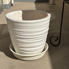 鉢植え　プランター　ホースの画像