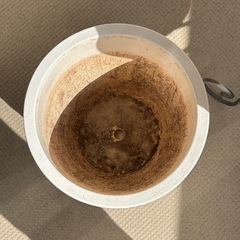 鉢植え　プランター　ホースの画像