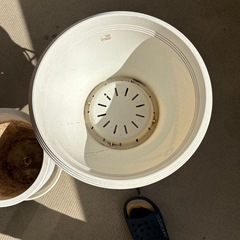 鉢植え　プランター　ホースの画像