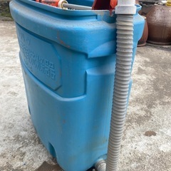 苗箱洗いの画像