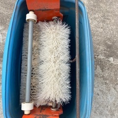 苗箱洗いの画像