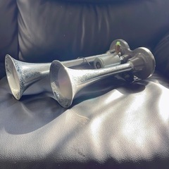 ヤンキーホーンの画像