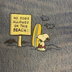 Levi's 501 PEANUTS SNOOPY 限定モデル W32 L32の画像