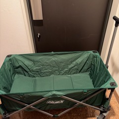 コールマン　キャリーの画像