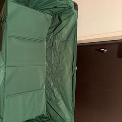 コールマン　キャリーの画像