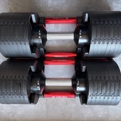 【定価84,800円】フレックスベル 32kg 2kg刻み 可変式ダンベル 2個セット｜大阪市西区受け渡しの画像
