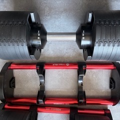 【定価84,800円】フレックスベル 32kg 2kg刻み 可変式ダンベル 2個セット｜大阪市西区受け渡しの画像
