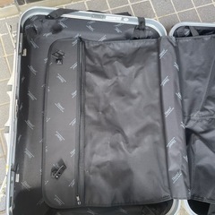 レア物　Hanesのスーツケースの画像