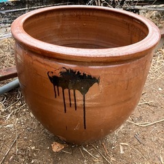 大型サイズの瓶(各の画像