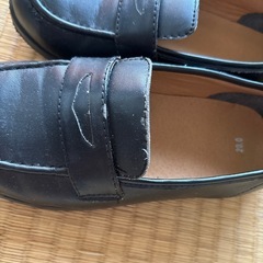 20cmのローファーです
の画像