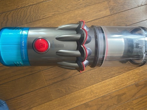 Dyson V12detect elm fluffy