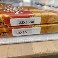 3/21までキャンバスの画像