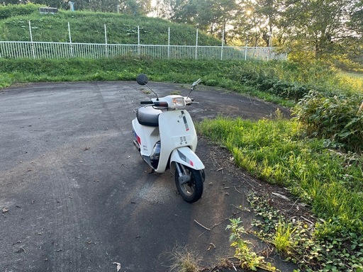 ホンダ タクト af09 引き取り限定