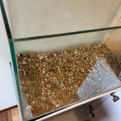 水槽、キャビネットの画像