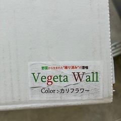 ベジタウォール 塗り壁 漆喰 （練り済み） カリフラワーの画像