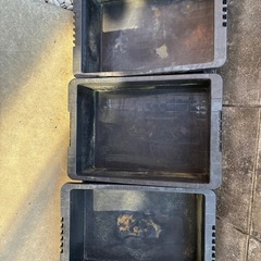 【取引中】コンテナ　トロ舟　プラ舟　40L　メダカ  ピオトープの画像