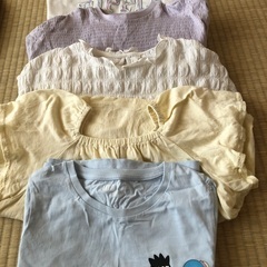 120センチから140センチの画像