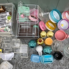 ハムスター用品の画像