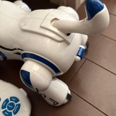 犬のおもちゃの画像