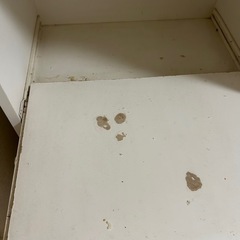 食器棚　0円【決まりました】の画像