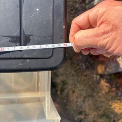 3段チェイストの画像