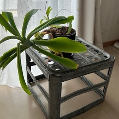 インダストリアル　スチールラックの画像