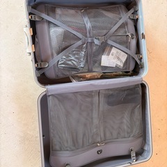 大型キャリーバックの画像