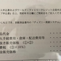 格安！2020年正規購入ディズニー英語MTDSGAの画像