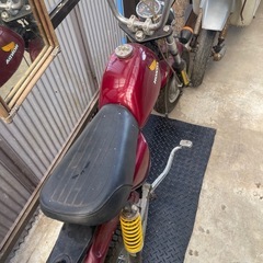 4Lモンキー　早矢仕の画像