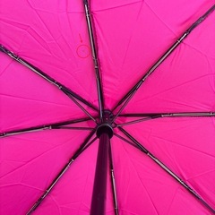 coach 折り畳み傘の画像