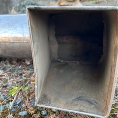 バチカンの画像