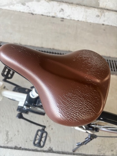 ペルテック 電動自転車