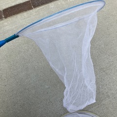 3/7まで　虫網　約直径30cm ２本セット　ワレありの画像