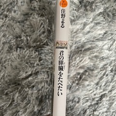 君の膵臓を食べたいの画像