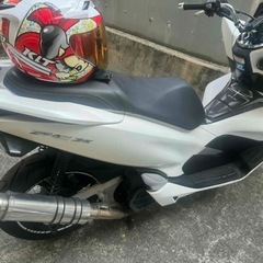 PCX JF81の画像