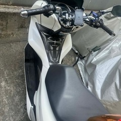 PCX JF81の画像