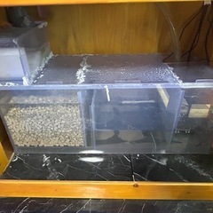 【引取限定】90cm オーバーフロー水槽セット
の画像