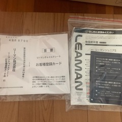 リーマンジュニアⅡの画像