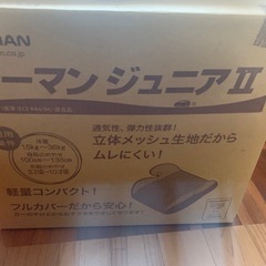 リーマンジュニアⅡの画像