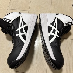 WINJOB(ウィンジョブ) CP304 BOA26.0cmcm の画像